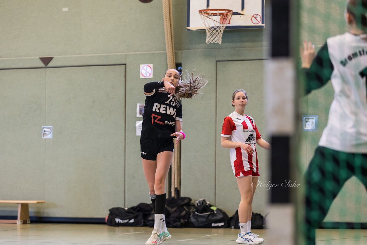 Bild 61 - wBJ SV Henstedt Ulzburg - Bramstedter TS : Ergebnis: 27:15